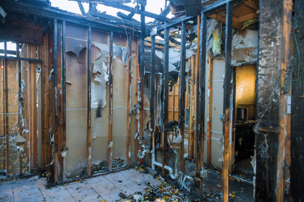 Professional Odor Removal technician working in Moody AFB, GA